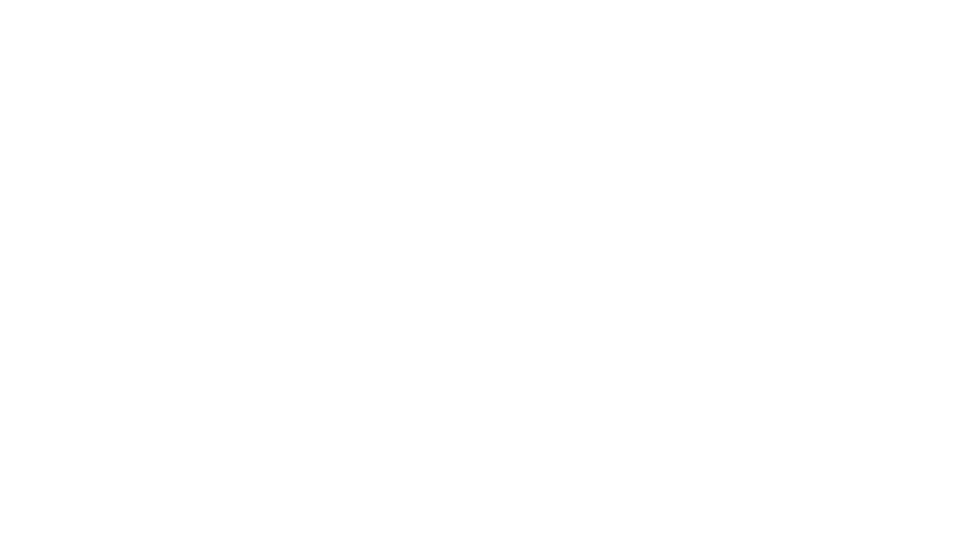 Partenaire Renaudinho